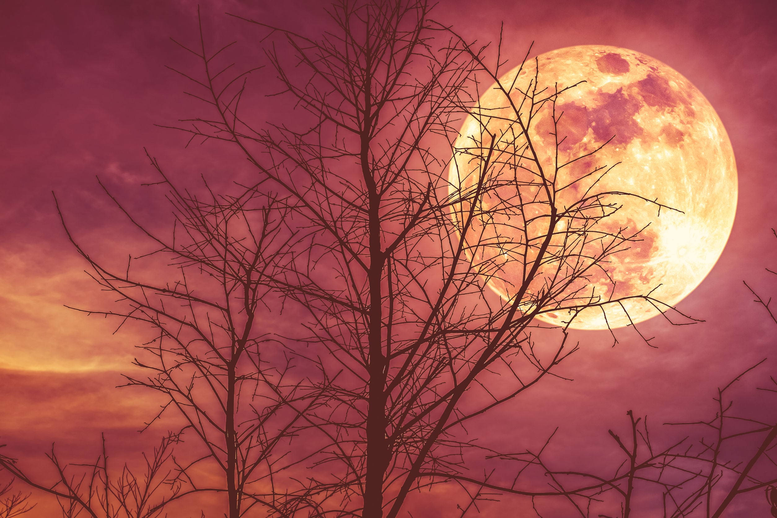 September 2026– A Month of Integration, Intensity and New Directions