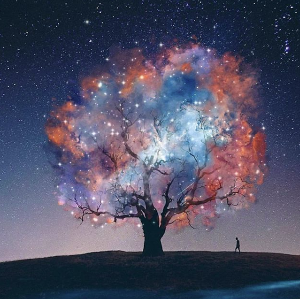 Your Weekly Tarot Reading for April 13 – April 19, 2025: Embrace the Unknown and Trust in the Flow