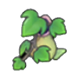 Pitcher-plant pot