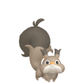 Skwovet
