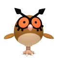 Hoothoot