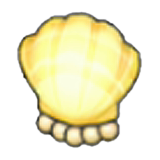 Shell lamp