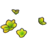 Yellow-green shoots