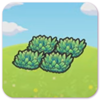 Tall grass