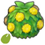 Stylish-hedge seeds
