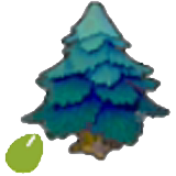 Pointy-tree seeds