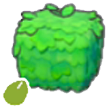 Square-plant seeds