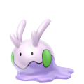 Goomy