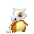 Cubone