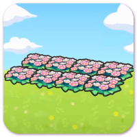 Field of flowers