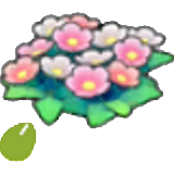 Wildflower seeds