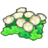 Skyland flowers