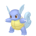 Wartortle