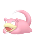 Slowpoke