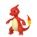 Charmeleon