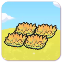 Yellow tall grass