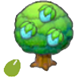 Rawst seeds