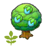 Small Rawst tree