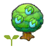 Rawst tree sapling