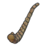 Wing Fossil (tail)