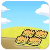 Marshy tall grass