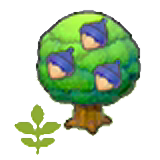 Small Chesto tree