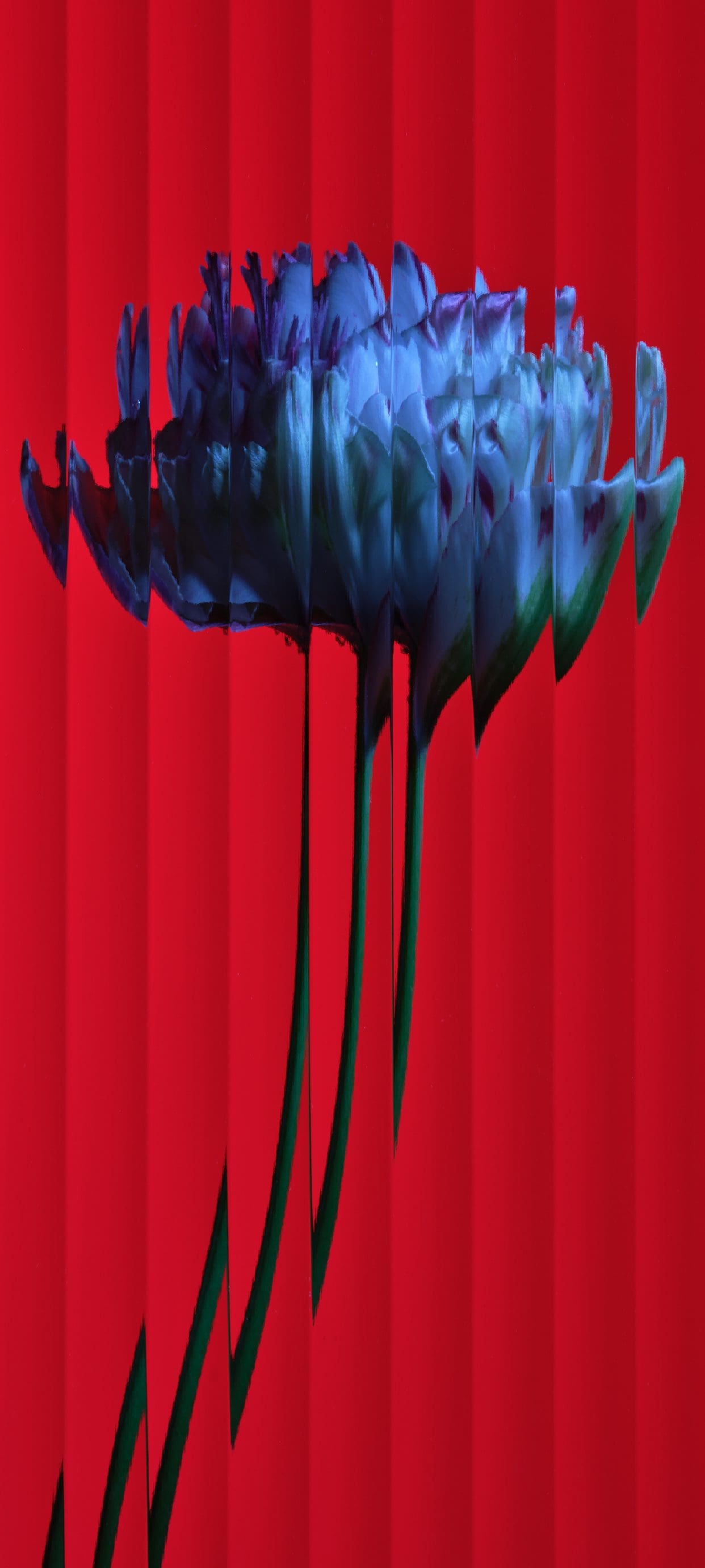 16 Cool Nothing Phone 2 Wallpapers (4K) for Free illustration 72