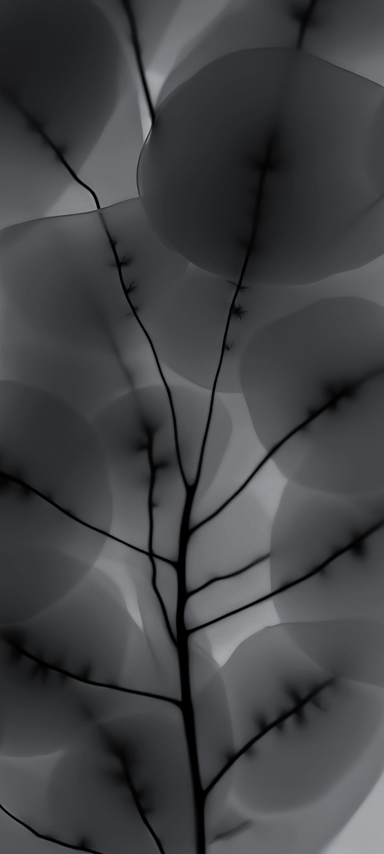 16 Cool Nothing Phone 2 Wallpapers (4K) for Free illustration 12