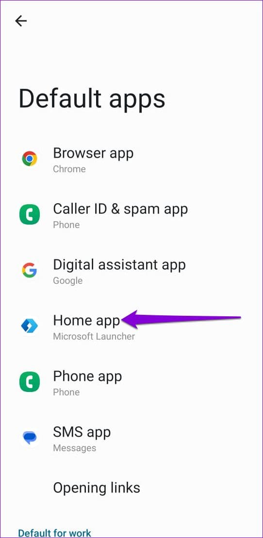 6 Ways to Fix Notification Badges Not Showing on Android illustration 38