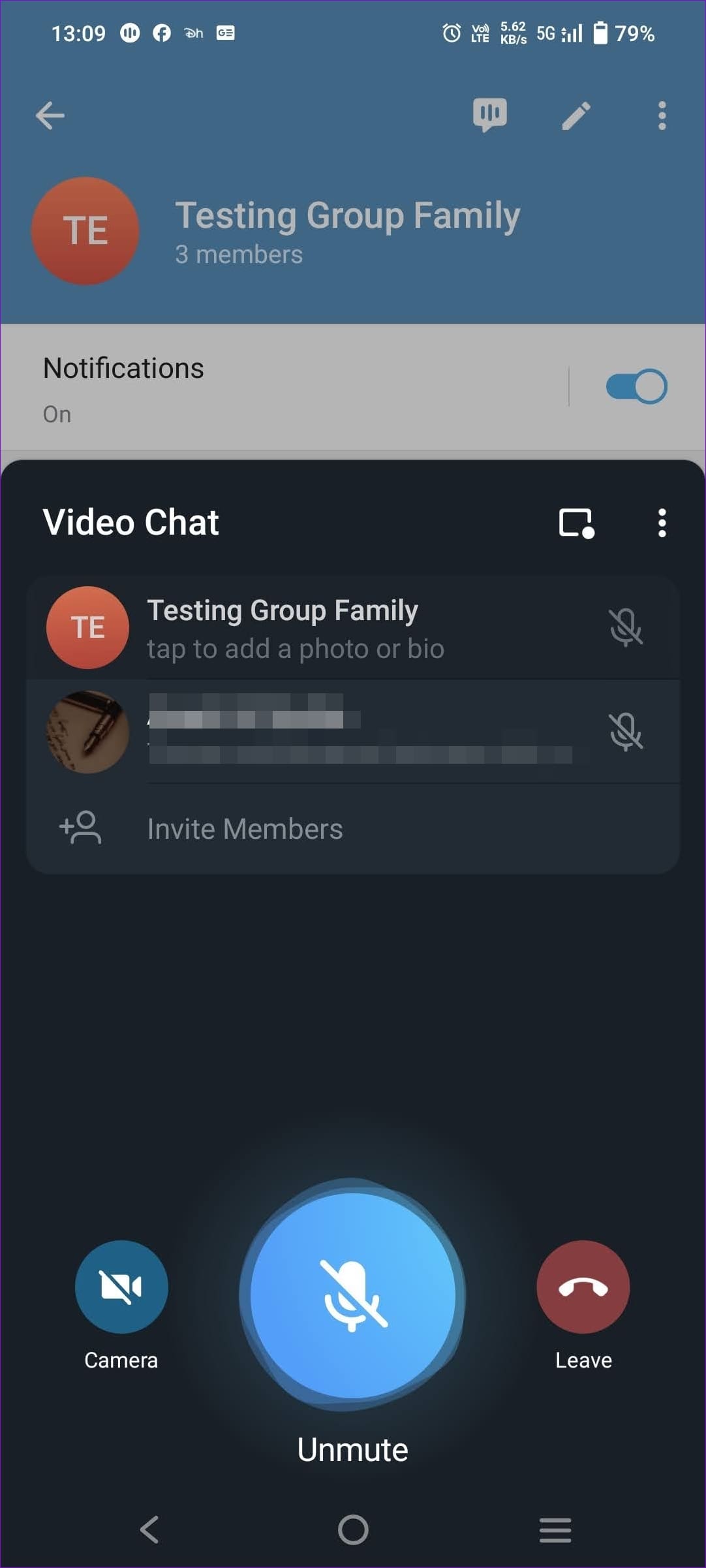 How to Make Group Video Calls on Telegram illustration 9