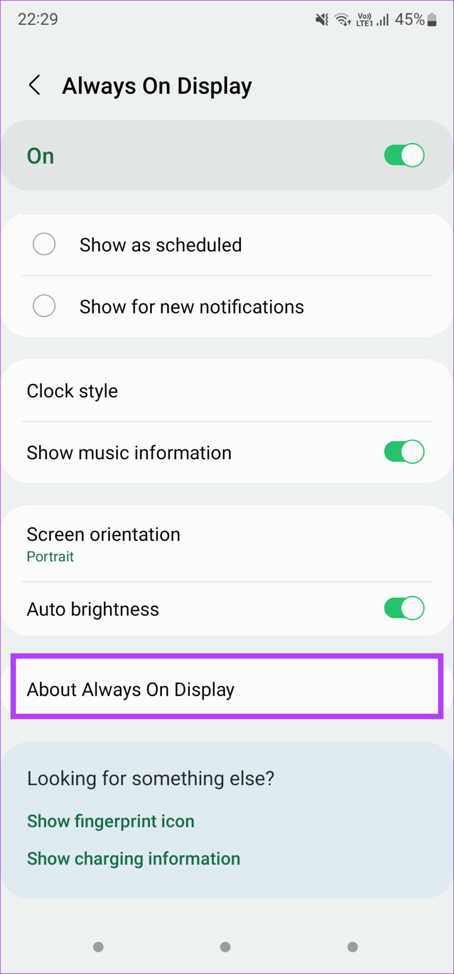 6 Ways to Fix Always on Display Not Working on Android illustration 23