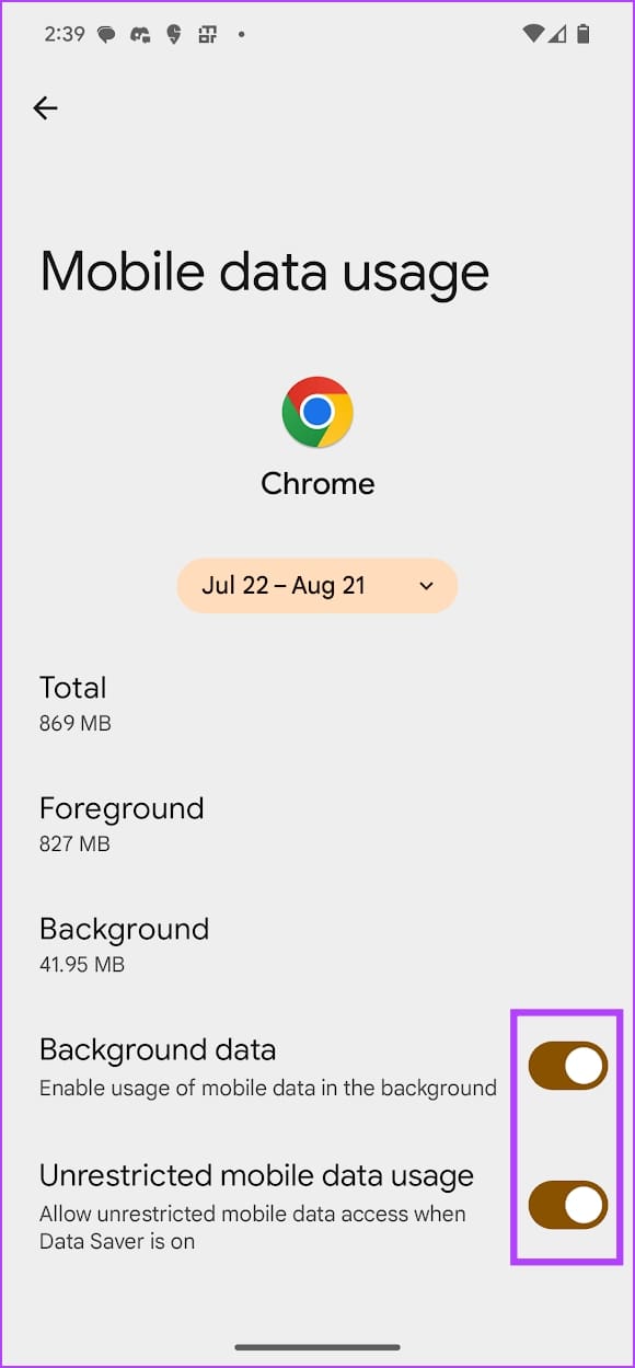 4 Ways to Fix Google Chrome Not Working on Mobile Data illustration 33