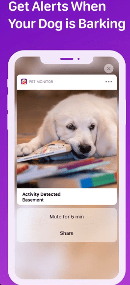 9 Pet Care Apps in 2024 [Free and Paid] illustration 153