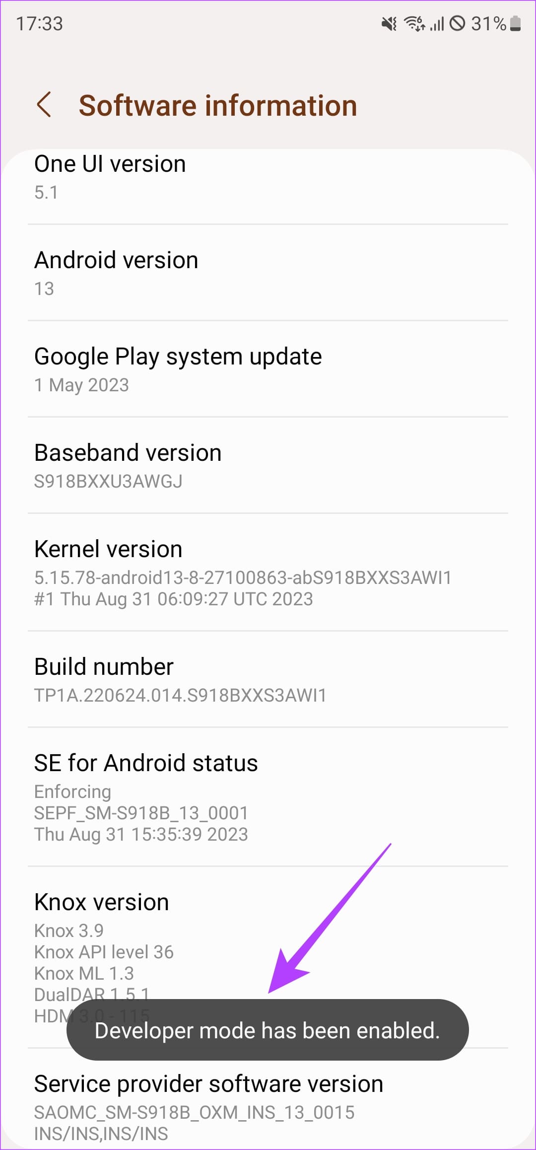 3 Ways to Fix Android Developer Options Not Showing Up illustration 12